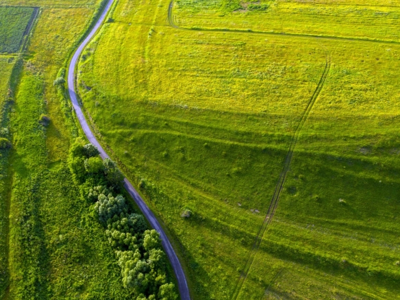 Beautiful Land