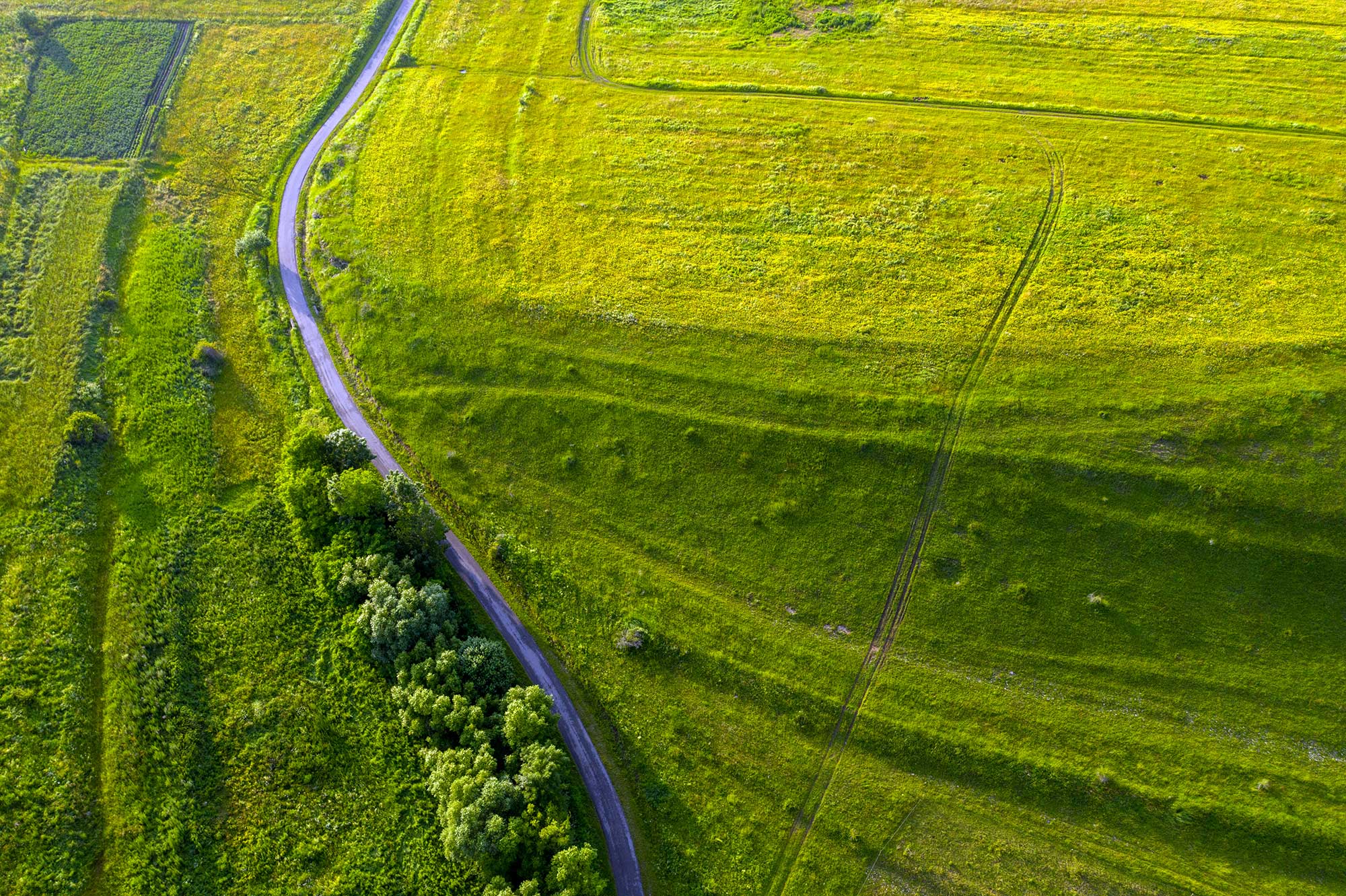 0051 Natural Lands