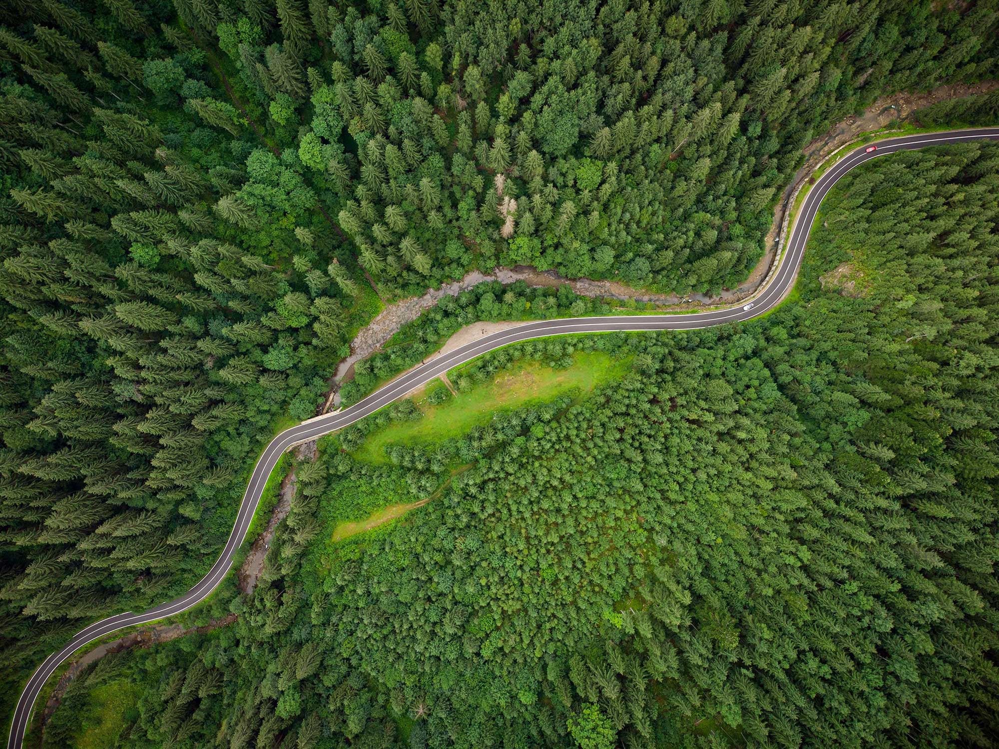 0054 Natural Lands