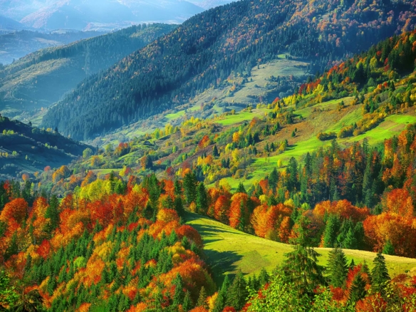 Hunting Land