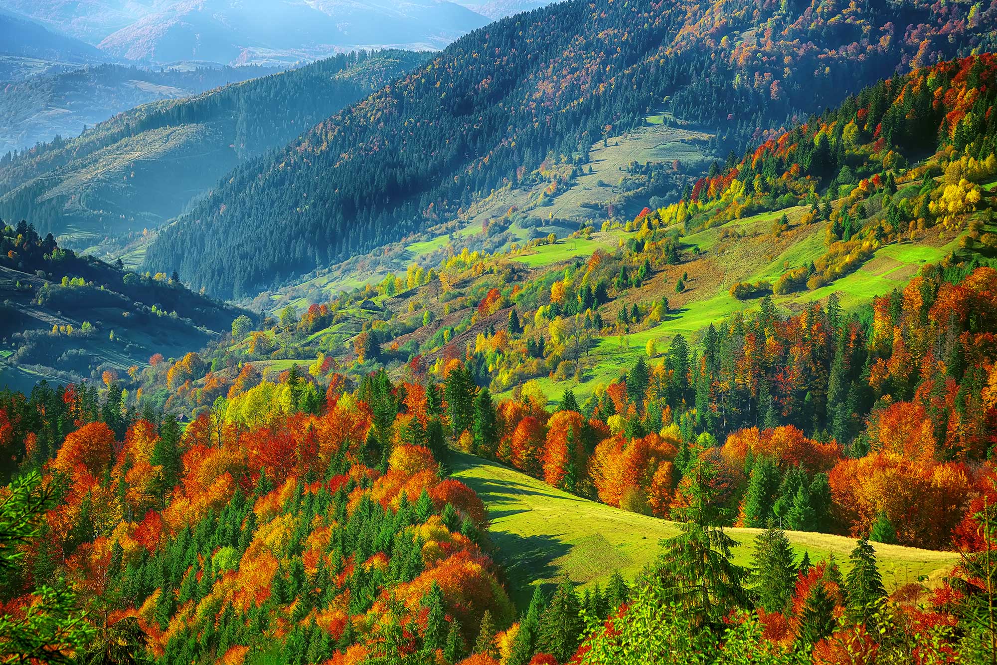 0057 Natural Lands