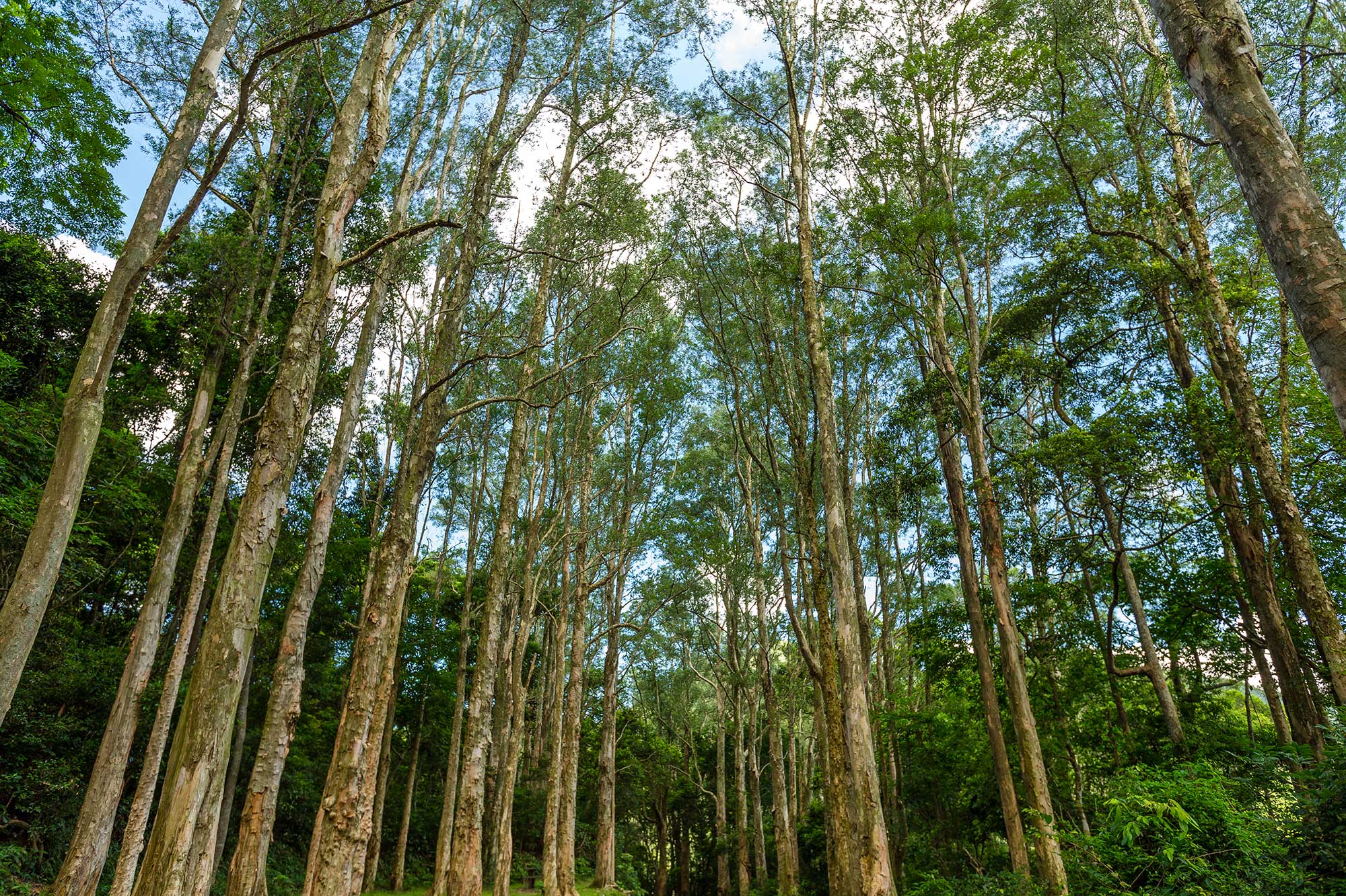 0059 Natural Lands