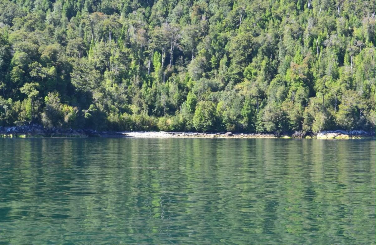 Parcela de 3 Hectáreas – Bahía Tranquila | Fiordo Aysén