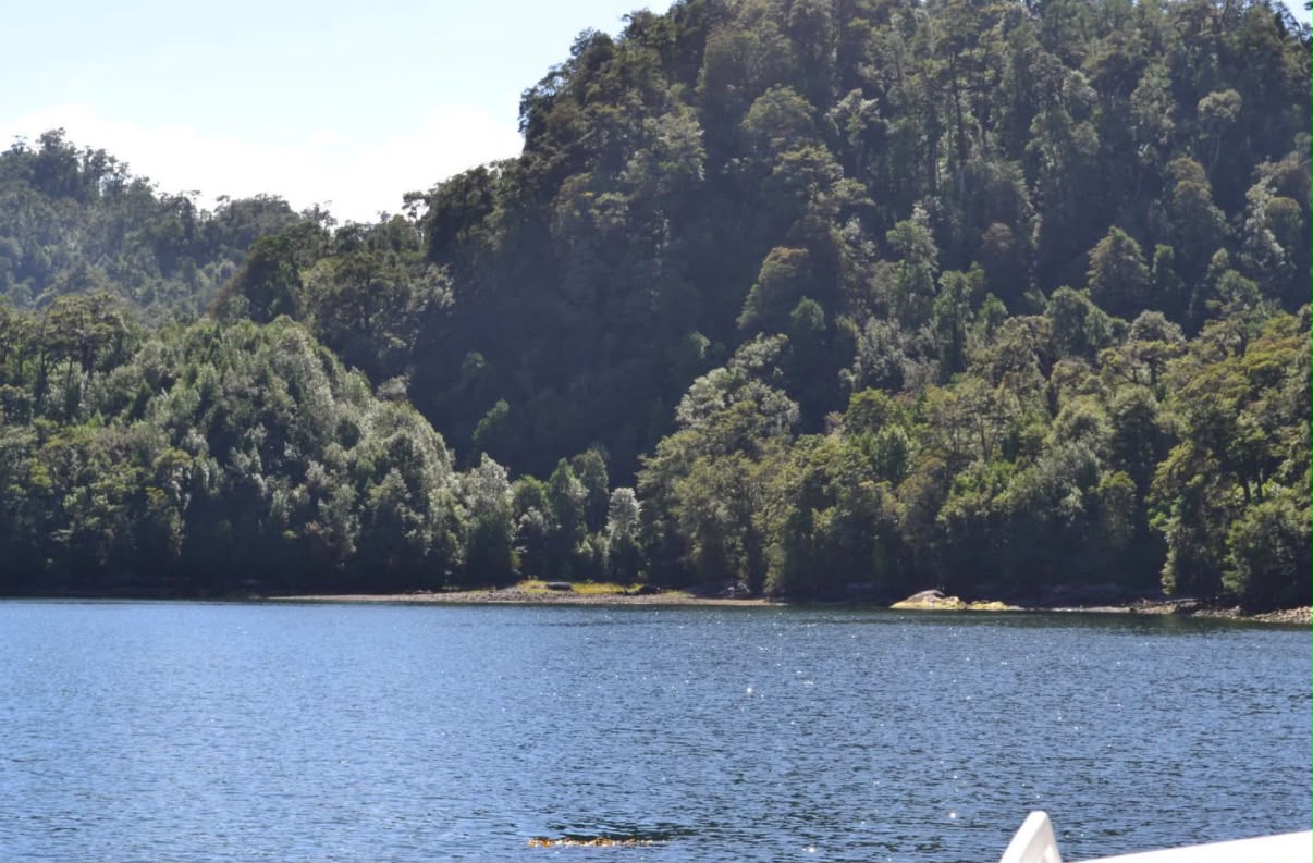 Parcela de 3 Hectáreas – Bahía Tranquila | Fiordo Aysén