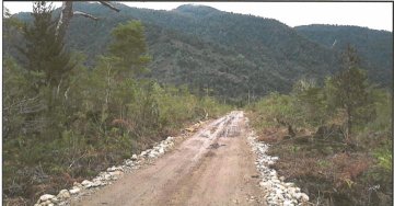 Parcela de 1 hectárea en La Junta, Aysen