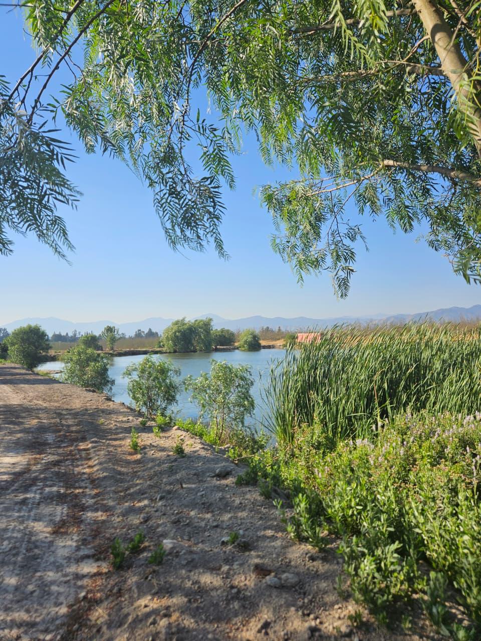 Terrazas del Puangue
