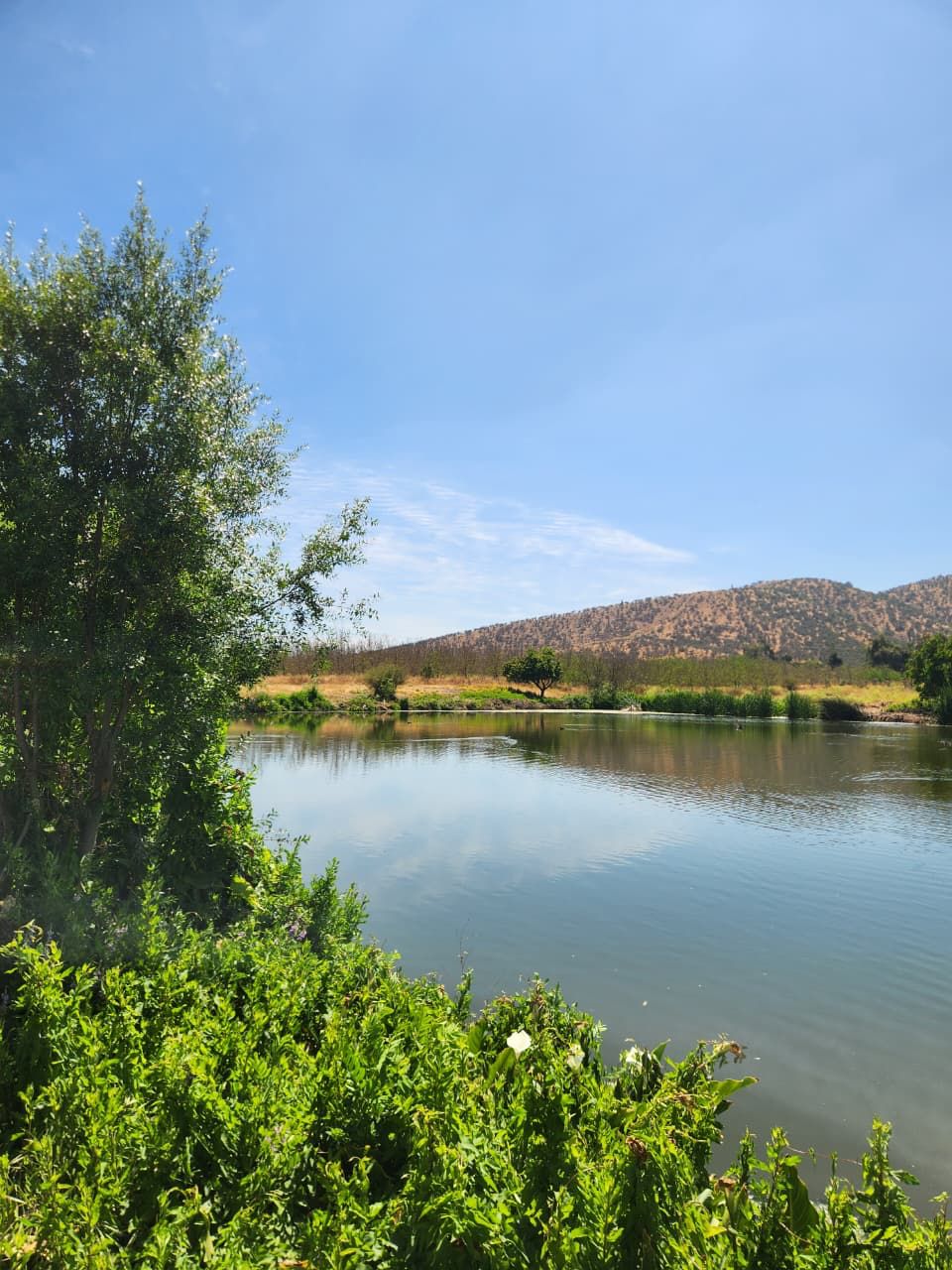 Terrazas del Puangue