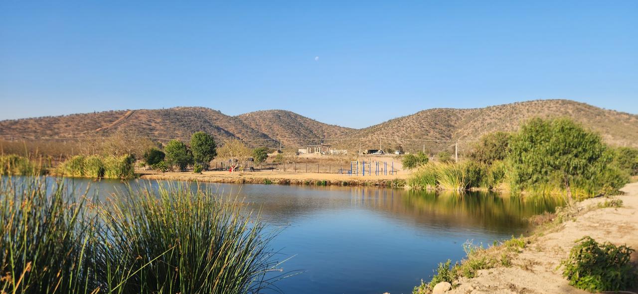 Terrazas del Puangue