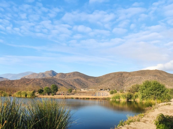 Terrazas del Puangue