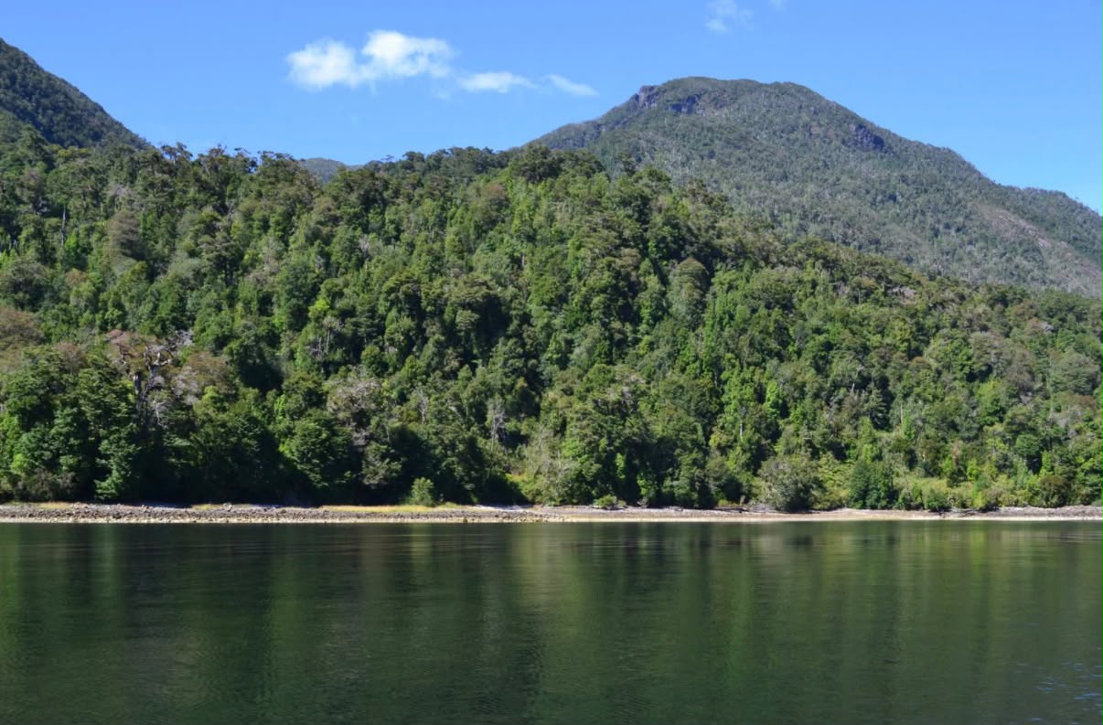 Parcela de 3 Hectáreas – Bahía Tranquila | Fiordo Aysén