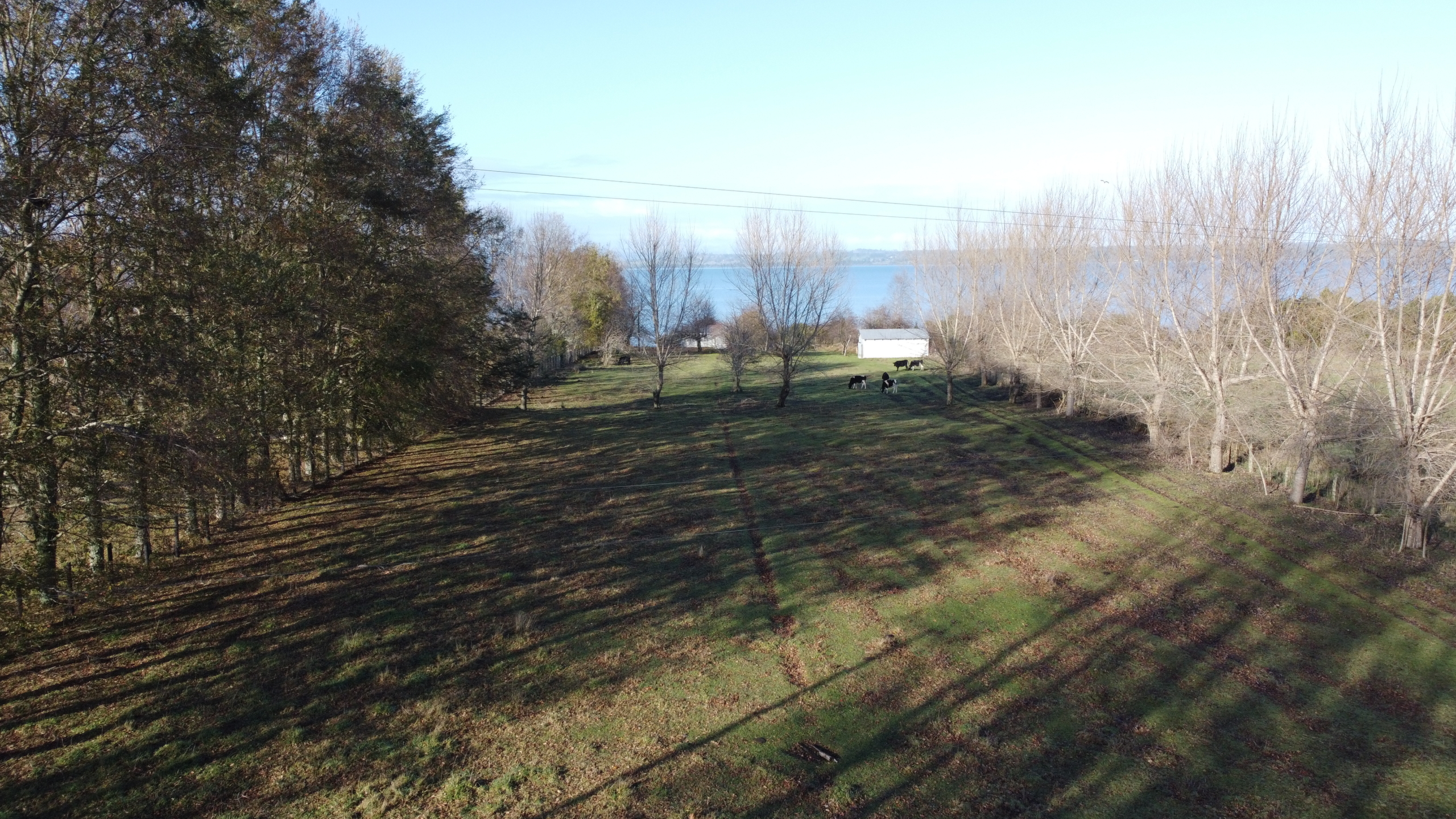 3.6 hectáreas, Lago Puyehue