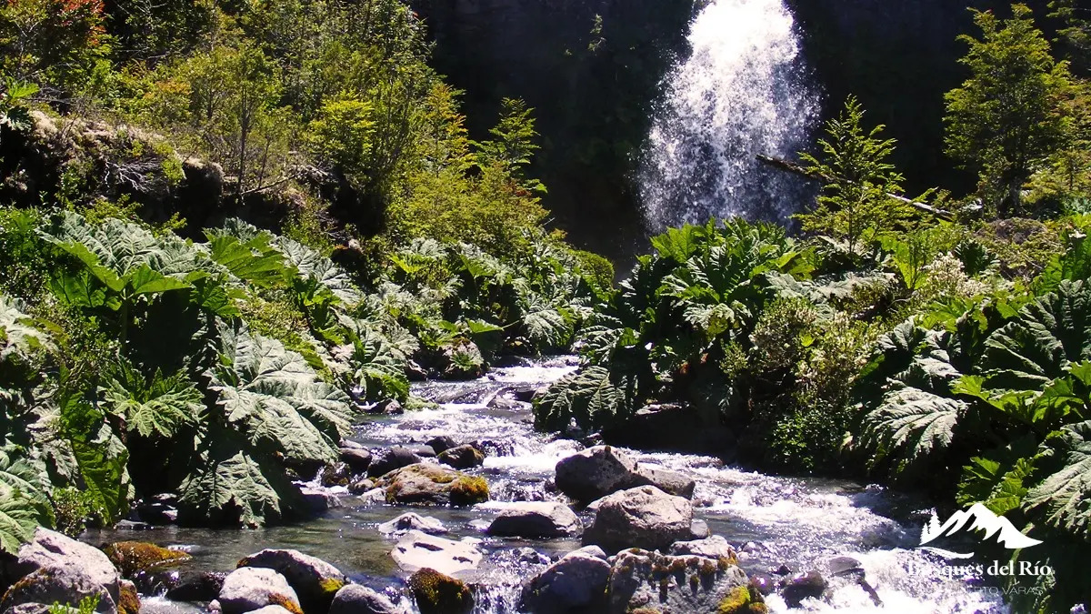 Parcela Bosque Nativo y Río con Rol propio 5000m – Puerto Varas