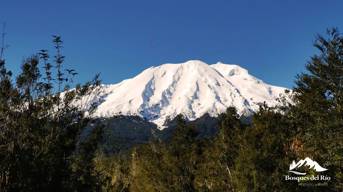 Parcela Bosque Nativo y Río con Rol propio 5000m – Puerto Varas