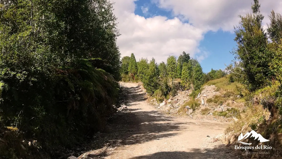 Parcela Bosque Nativo y Río con Rol propio 5000m – Puerto Varas