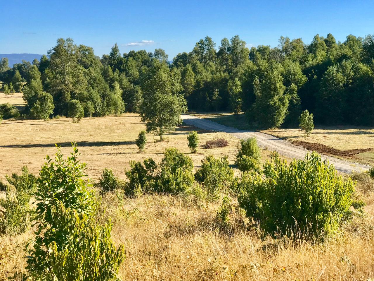 Parcela en sector norte, lago Villarrica, Condominio EL Arrayán