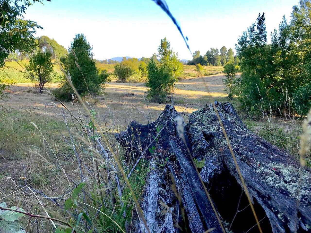 Parcela en sector norte, lago Villarrica, Condominio EL Arrayán
