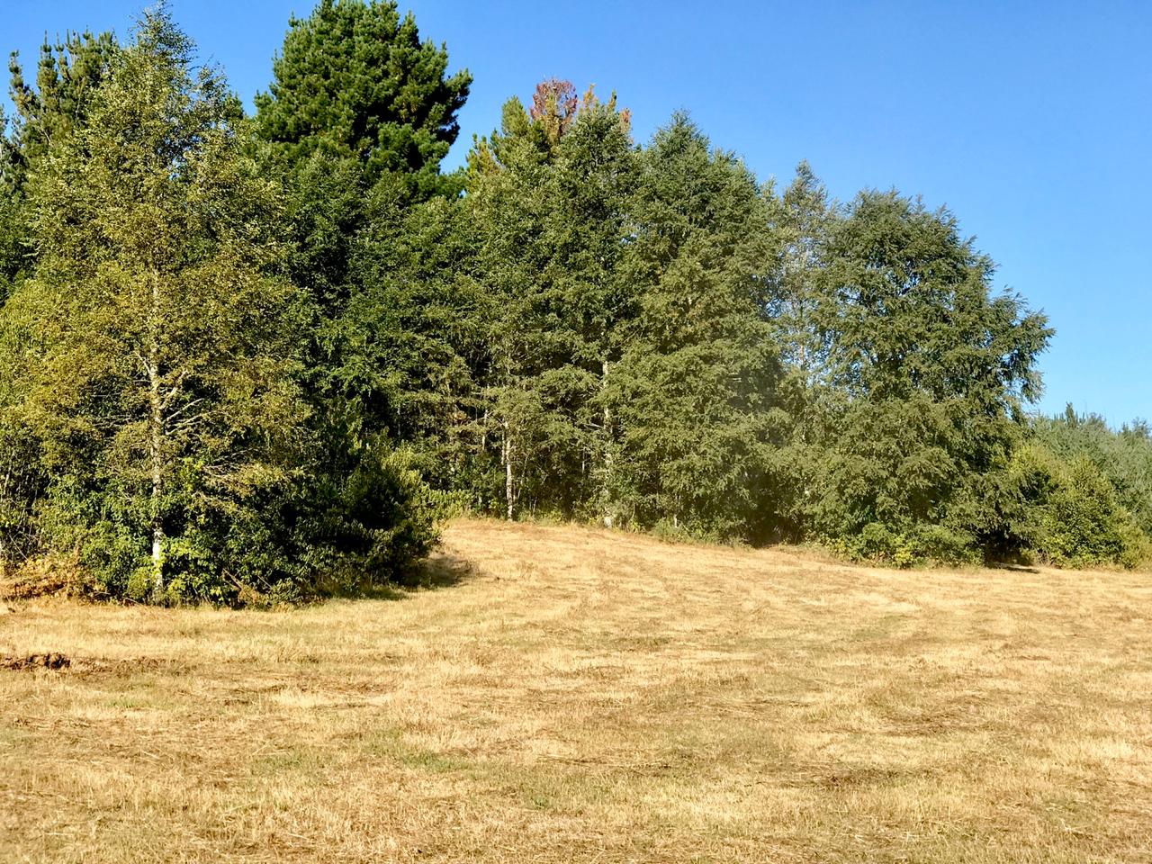 Parcela en sector norte, lago Villarrica, Condominio EL Arrayán