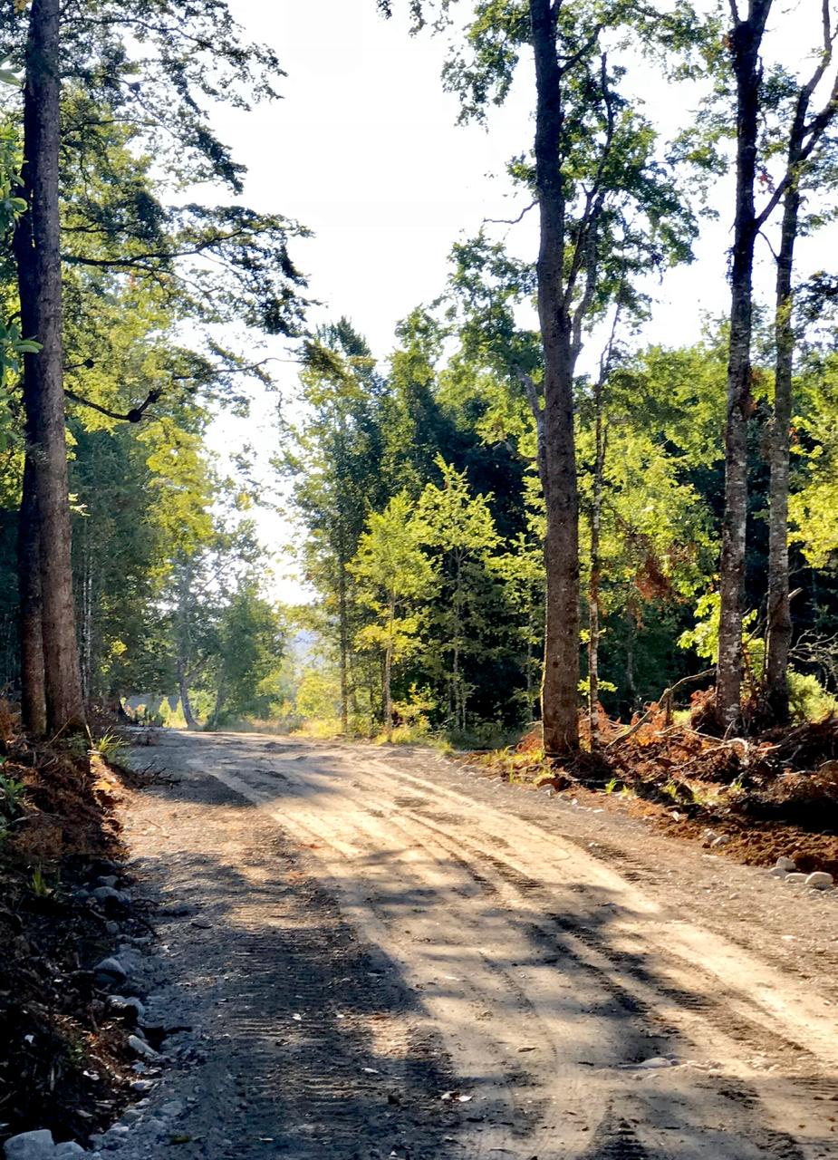 Parcela en sector norte, lago Villarrica, Condominio EL Arrayán