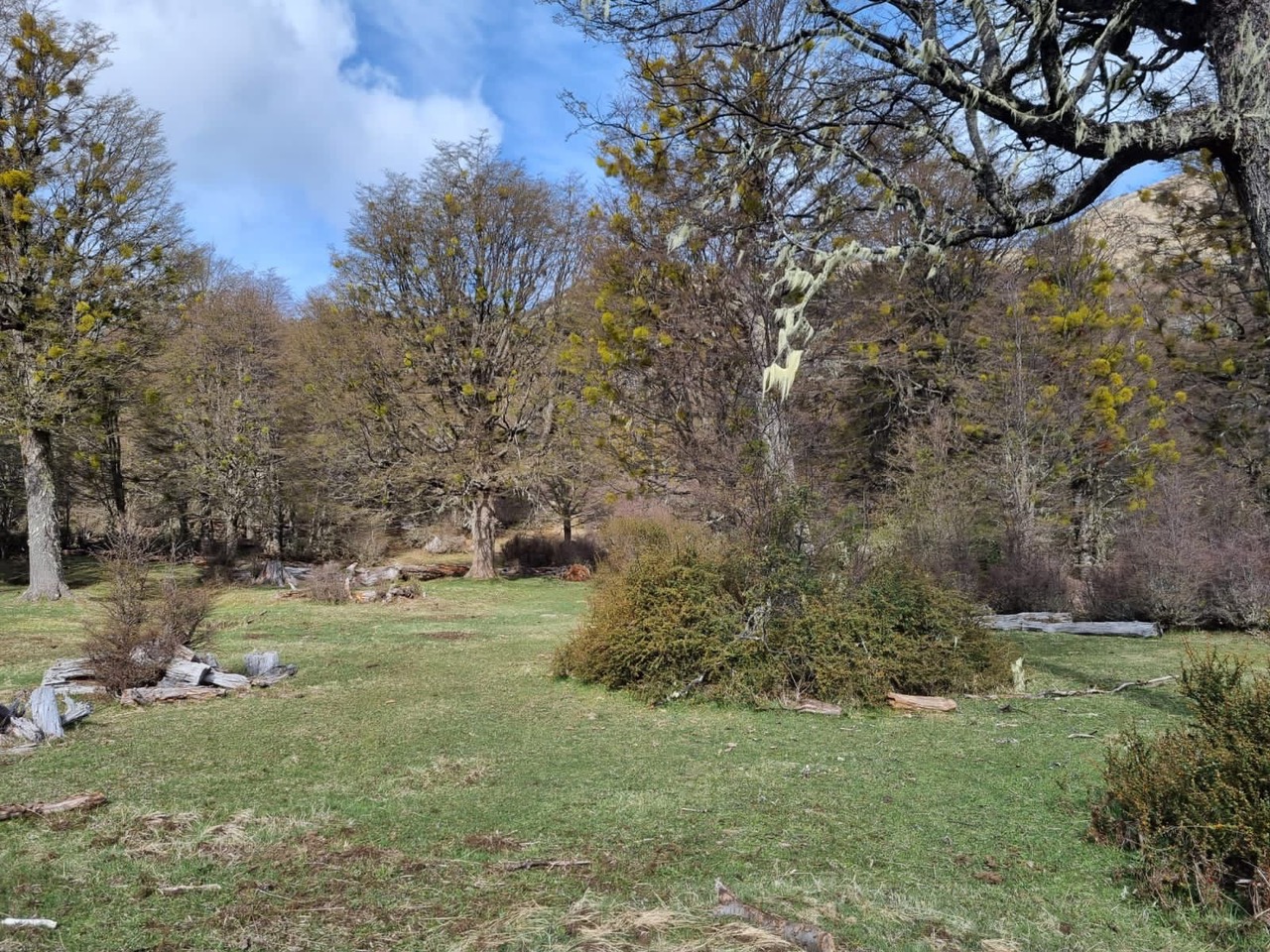 Campo de 89 hectáreas en Coyhaique, Villa Mañihuales. Empresa liquida activos.