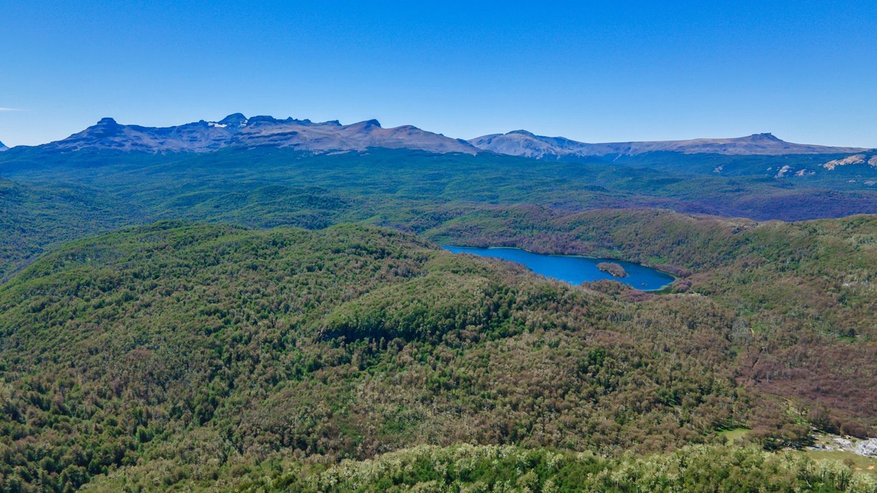 Campo de 89 hectáreas en Coyhaique, Villa Mañihuales. Empresa liquida activos.