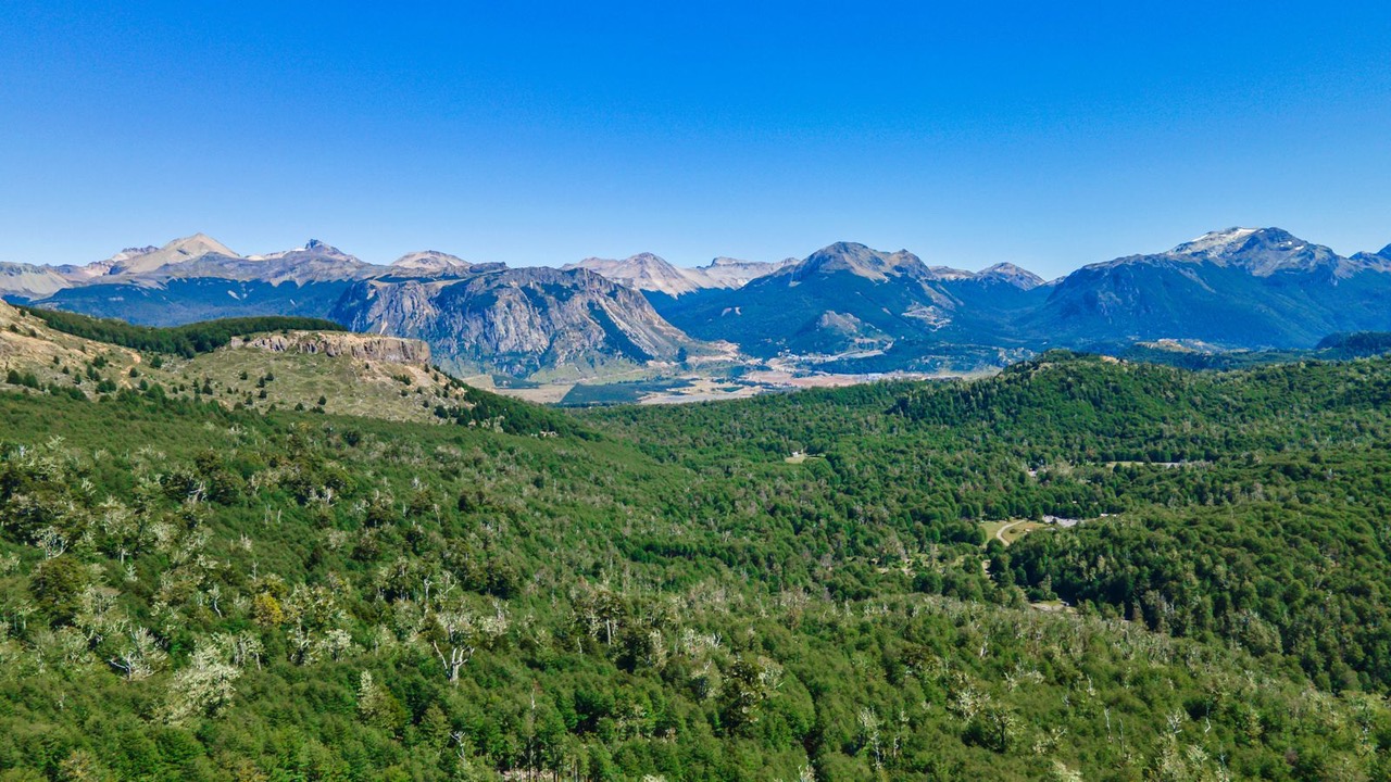 Campo de 89 hectáreas en Coyhaique, Villa Mañihuales. Empresa liquida activos.