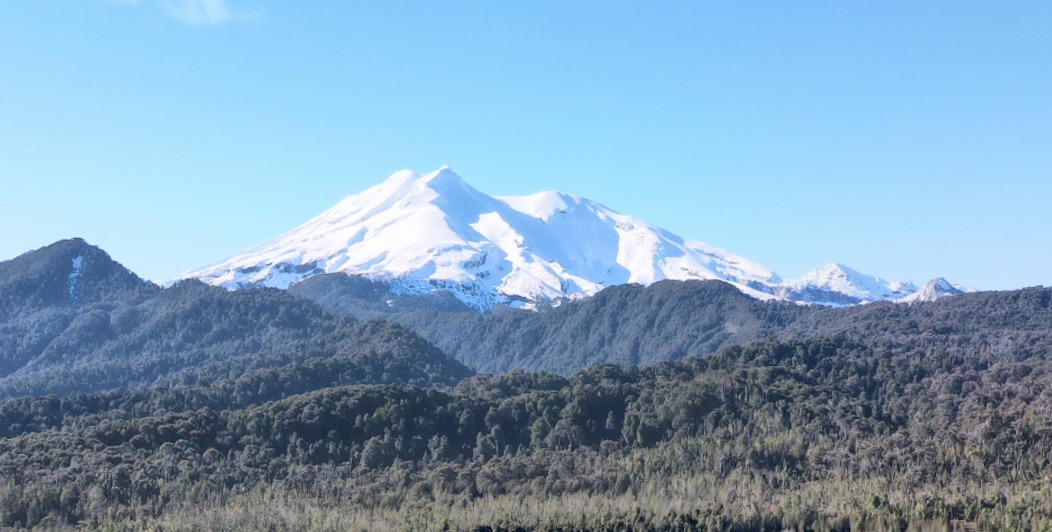 Parcela Bosque Nativo y Río con Rol propio 5000m – Puerto Varas
