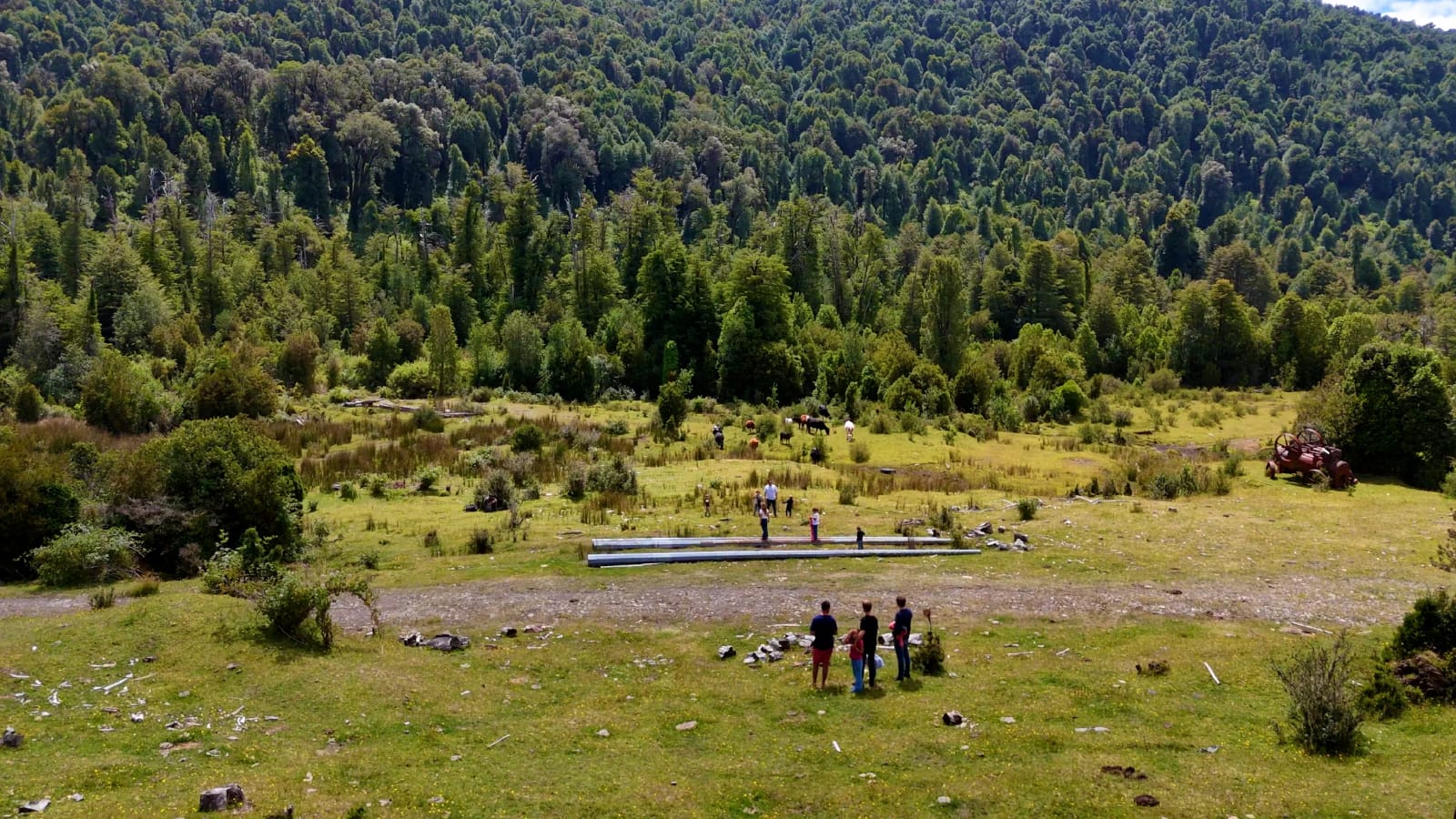 Terreno de 6 hectareas en proyecto Brisas de Rupanco, Región de los Lagos