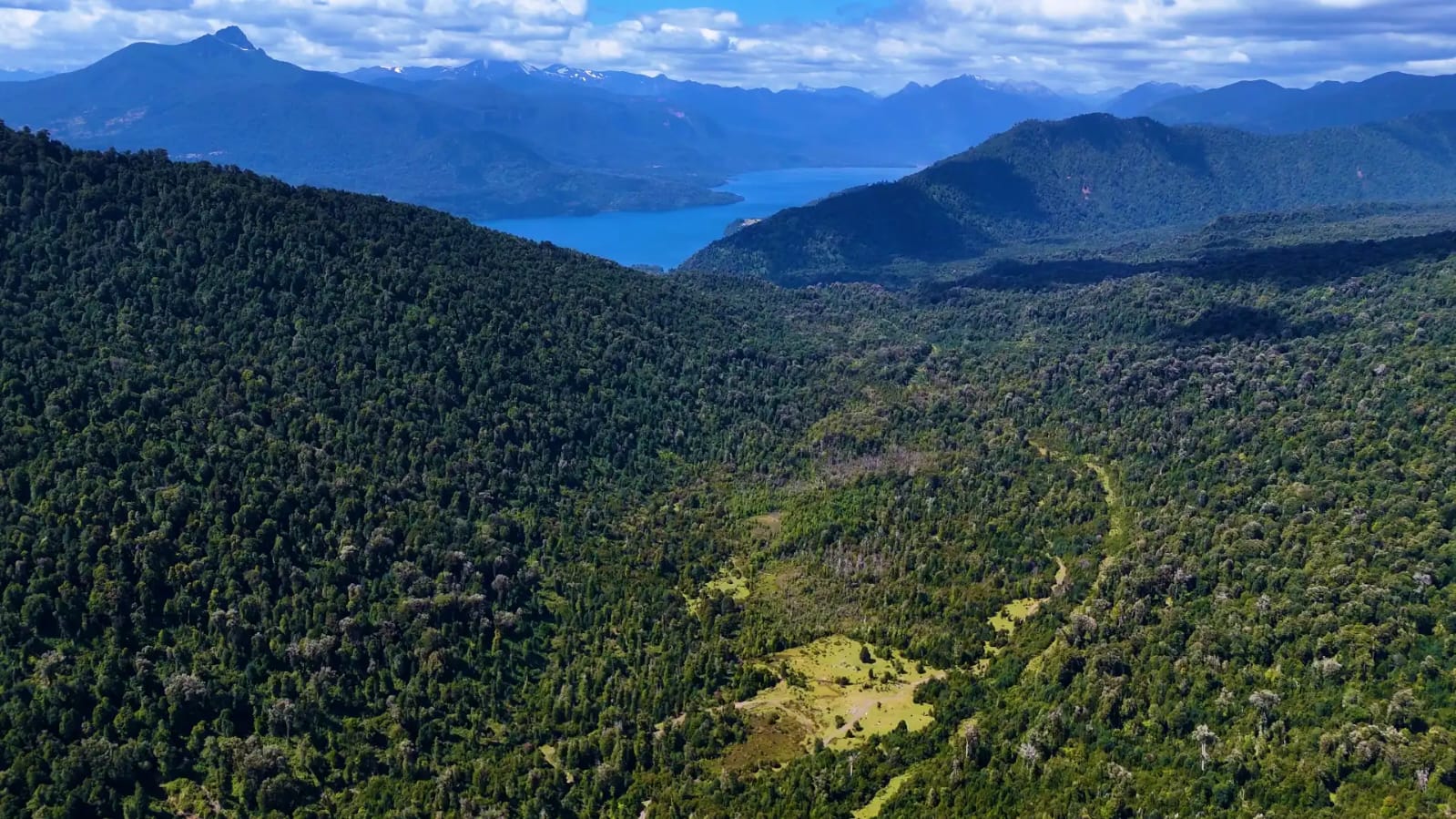 Terreno de 6 hectareas en proyecto Brisas de Rupanco, Región de los Lagos