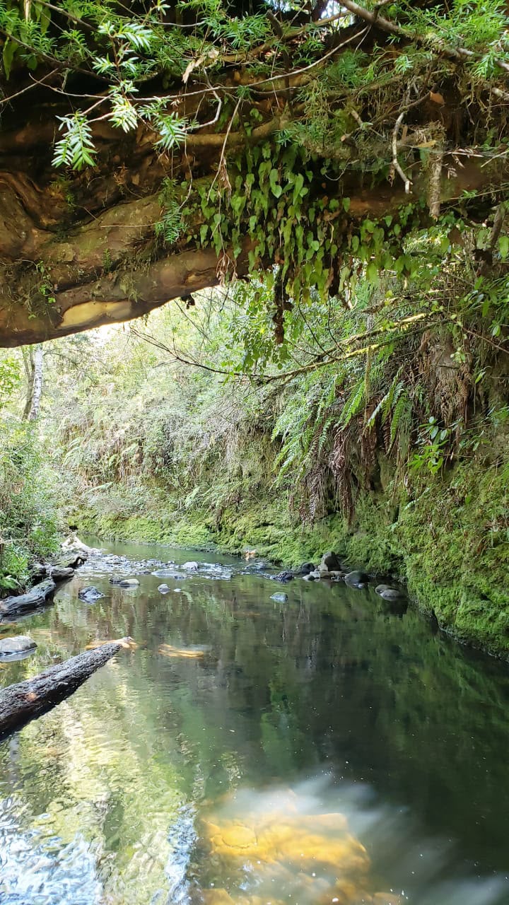 Parcela de 5.171 metros, en Colonia Tres Puentes, Puerto Varas