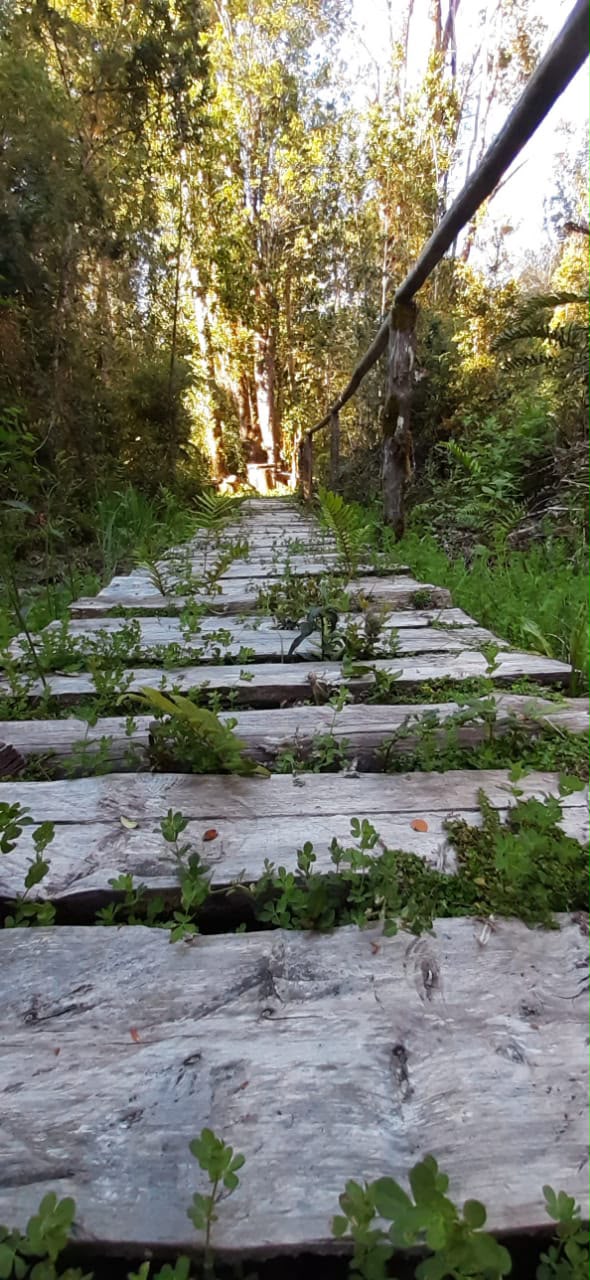 Parcela de 5.171 metros, en Colonia Tres Puentes, Puerto Varas
